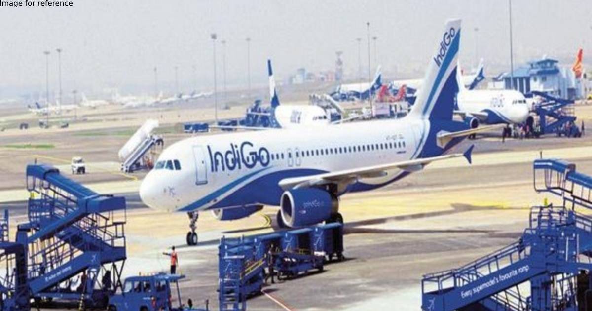 IndiGo's Vadodara-bound flight diverted to Jaipur after vibrations in engine